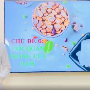 CHỦ ĐỀ 6: TẦM QUAN TRỌNG CỦA ĐẠM